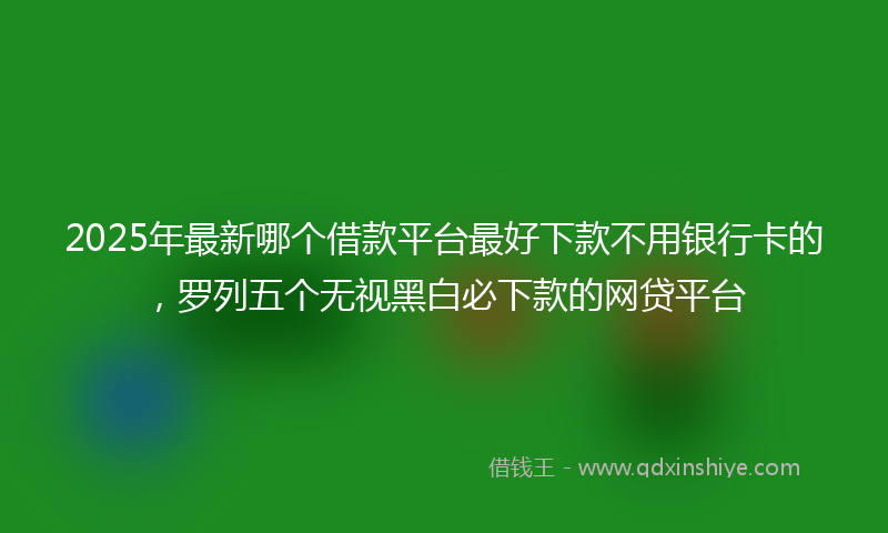 2025年最新哪个借款平台最好下款不用银行卡的，罗列五个无视黑白必下款的网贷平台