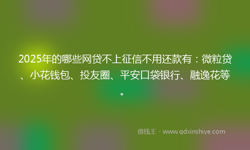 2025年的哪些网贷不上征信不用还款有：微粒贷、小花钱包、投友圈、平安口袋银行、融逸花等。