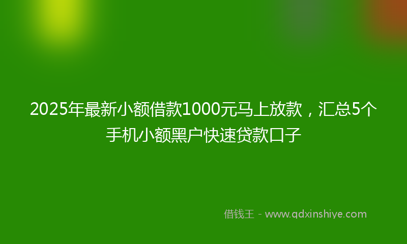 2025年最新小额借款1000元马上放款，汇总5个手机小额黑户快速贷款口子