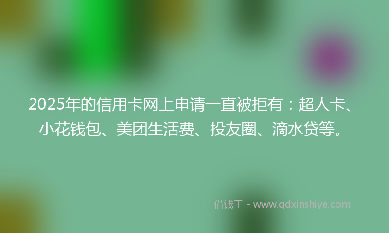 2025年的信用卡网上申请一直被拒有：超人卡、小花钱包、美团生活费、投友圈、滴水贷等。