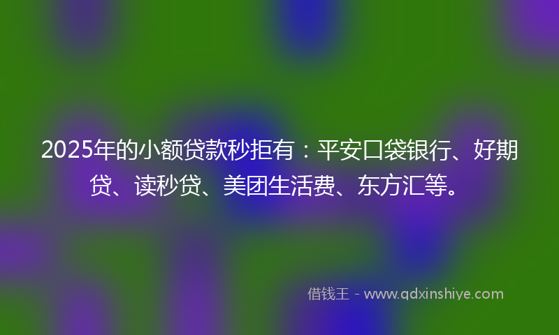 2025年的小额贷款秒拒有：平安口袋银行、好期贷、读秒贷、美团生活费、东方汇等。
