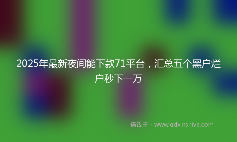 2025年最新夜间能下款71平台，汇总五个黑户烂户秒下一万