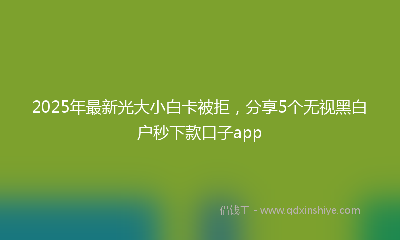 2025年最新光大小白卡被拒，分享5个无视黑白户秒下款口子app
