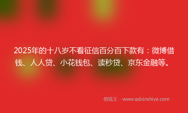 2025年的十八岁不看征信百分百下款有：微博借钱、人人贷、小花钱包、读秒贷、京东金融等。