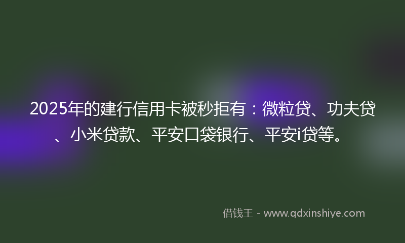 2025年的建行信用卡被秒拒有：微粒贷、功夫贷、小米贷款、平安口袋银行、平安i贷等。