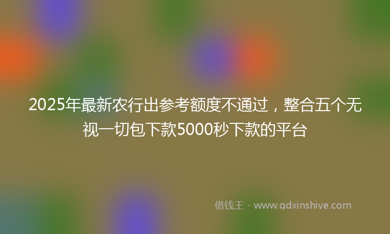 2025年最新农行出参考额度不通过，整合五个无视一切包下款5000秒下款的平台