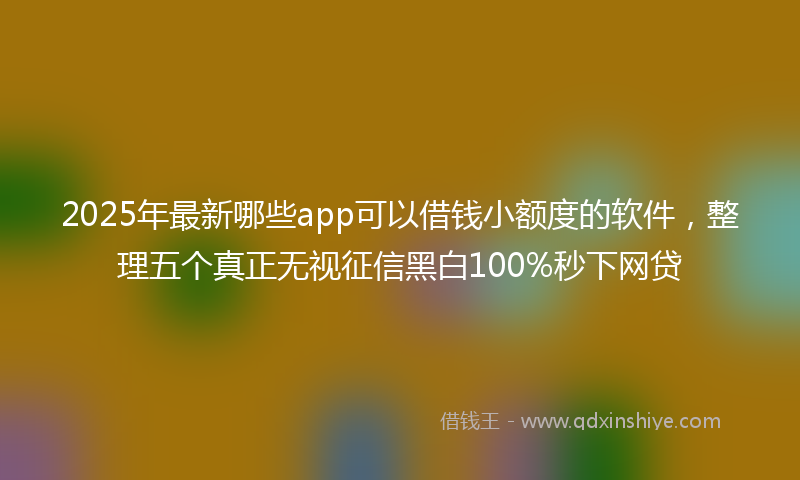2025年最新哪些app可以借钱小额度的软件，整理五个真正无视征信黑白100%秒下网贷