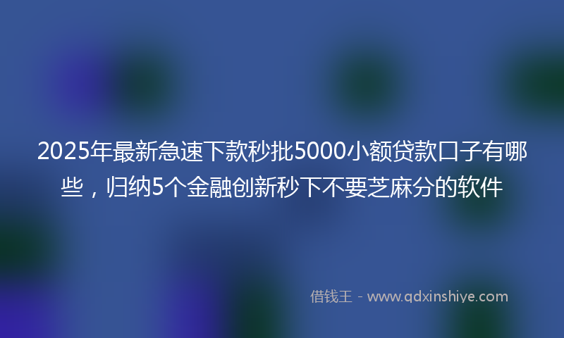 2025年最新急速下款秒批5000小额贷款口子有哪些，归纳5个金融创新秒下不要芝麻分的软件