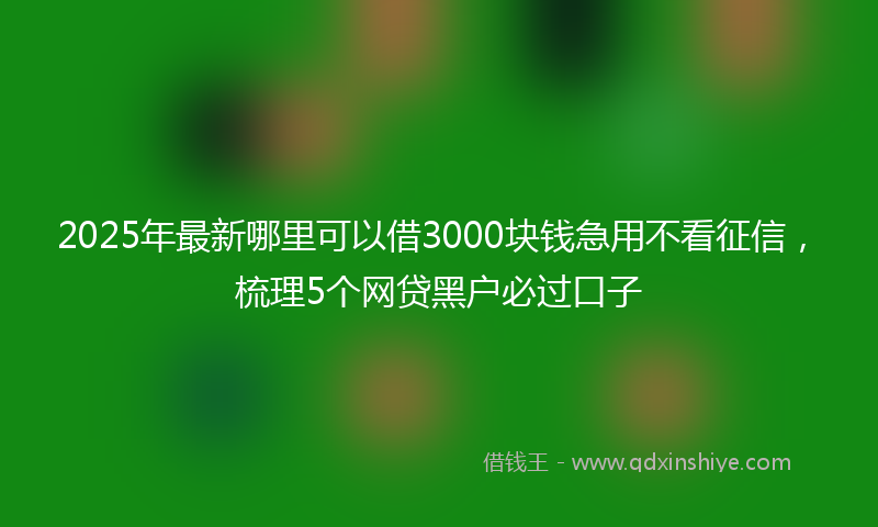 2025年最新哪里可以借3000块钱急用不看征信，梳理5个网贷黑户必过口子