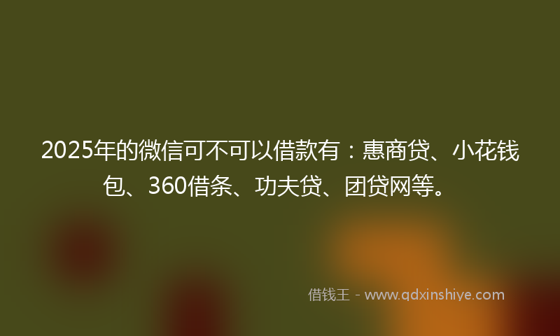 2025年的微信可不可以借款有：惠商贷、小花钱包、360借条、功夫贷、团贷网等。