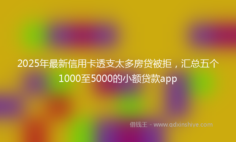 2025年最新信用卡透支太多房贷被拒，汇总五个1000至5000的小额贷款app