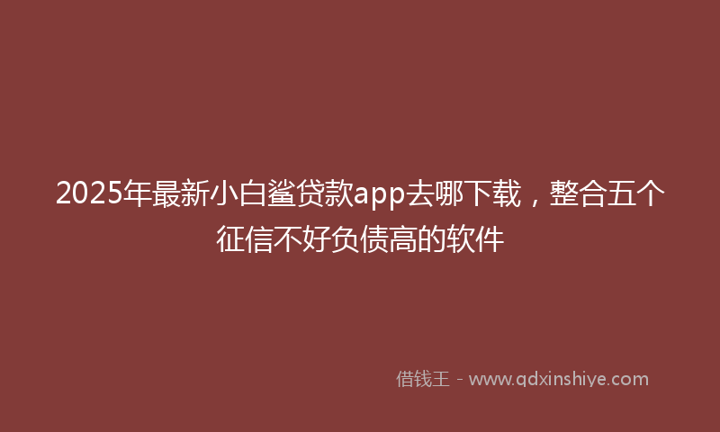 2025年最新小白鲨贷款app去哪下载，整合五个征信不好负债高的软件