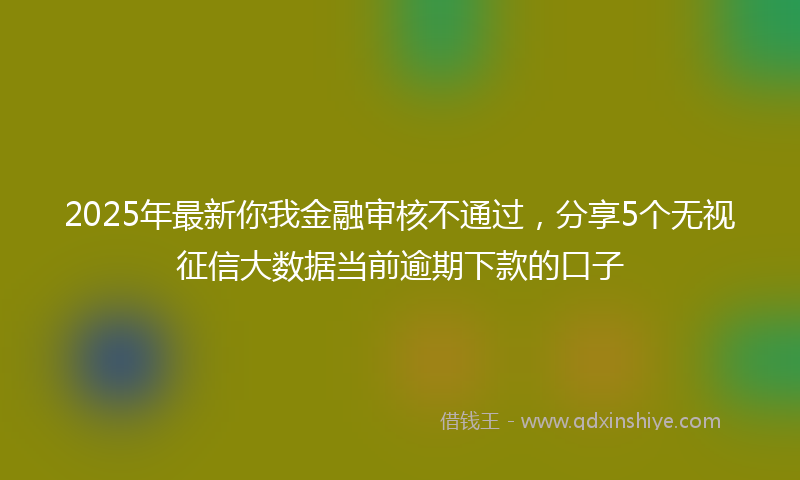 2025年最新你我金融审核不通过，分享5个无视征信大数据当前逾期下款的口子