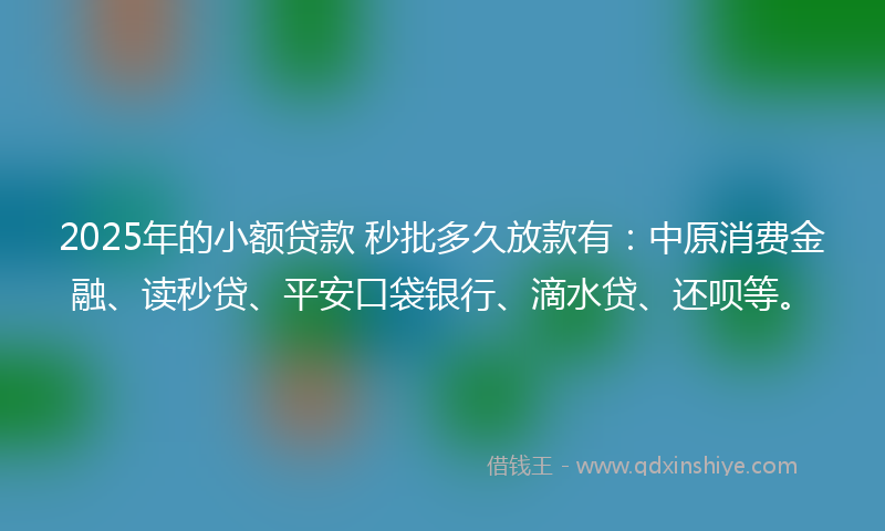 2025年的小额贷款 秒批多久放款有：中原消费金融、读秒贷、平安口袋银行、滴水贷、还呗等。