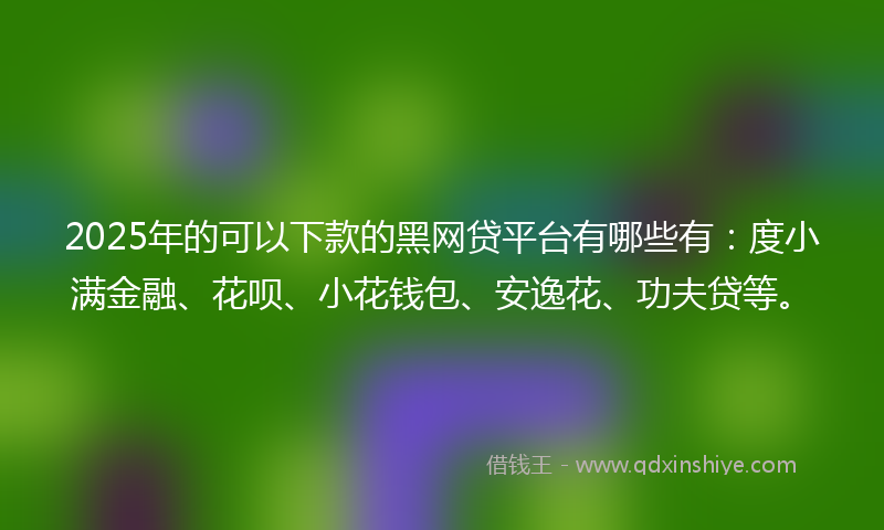 2025年的可以下款的黑网贷平台有哪些有：度小满金融、花呗、小花钱包、安逸花、功夫贷等。