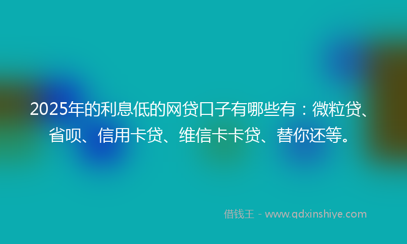 2025年的利息低的网贷口子有哪些有：微粒贷、省呗、信用卡贷、维信卡卡贷、替你还等。