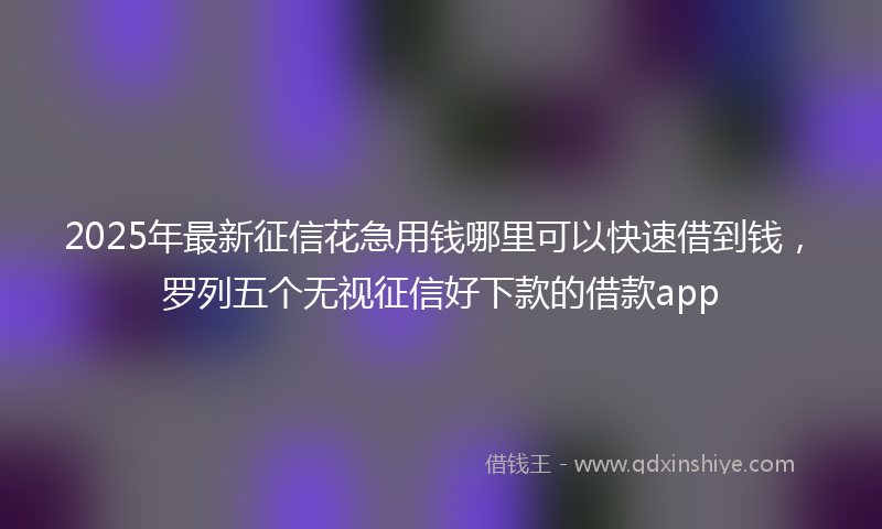 2025年最新征信花急用钱哪里可以快速借到钱，罗列五个无视征信好下款的借款app