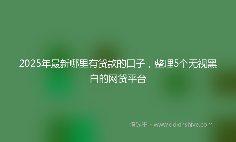 2025年最新哪里有贷款的口子，整理5个无视黑白的网贷平台