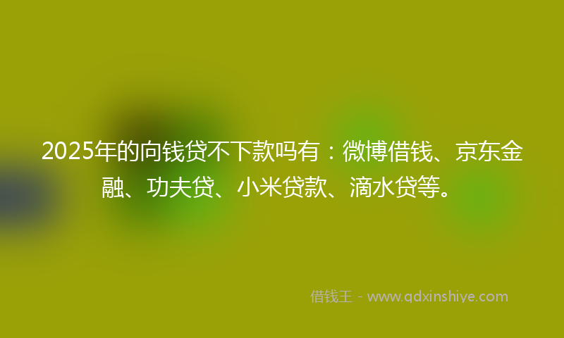 2025年的向钱贷不下款吗有：微博借钱、京东金融、功夫贷、小米贷款、滴水贷等。