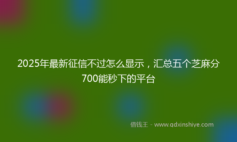 2025年最新征信不过怎么显示，汇总五个芝麻分700能秒下的平台