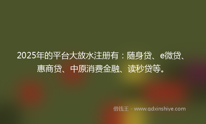 2025年的平台大放水注册有：随身贷、e微贷、惠商贷、中原消费金融、读秒贷等。