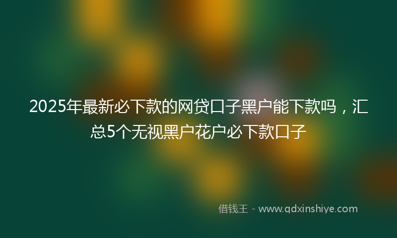 2025年最新必下款的网贷口子黑户能下款吗，汇总5个无视黑户花户必下款口子