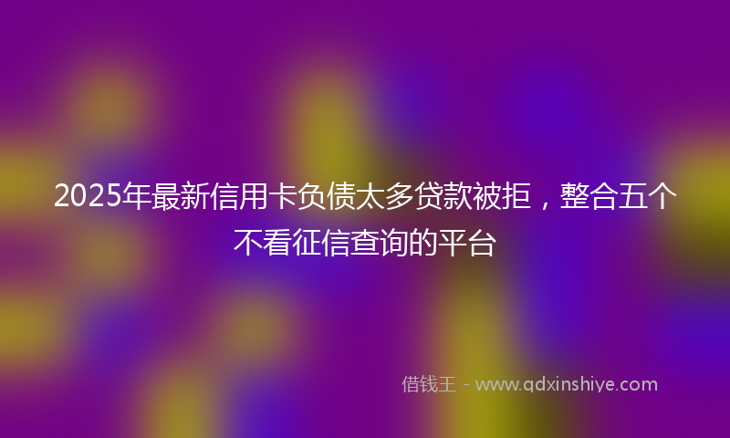 2025年最新信用卡负债太多贷款被拒，整合五个不看征信查询的平台