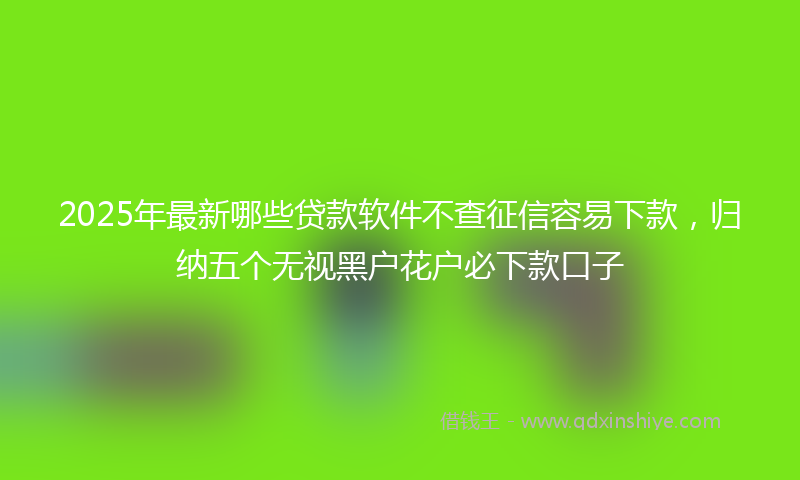 2025年最新哪些贷款软件不查征信容易下款，归纳五个无视黑户花户必下款口子