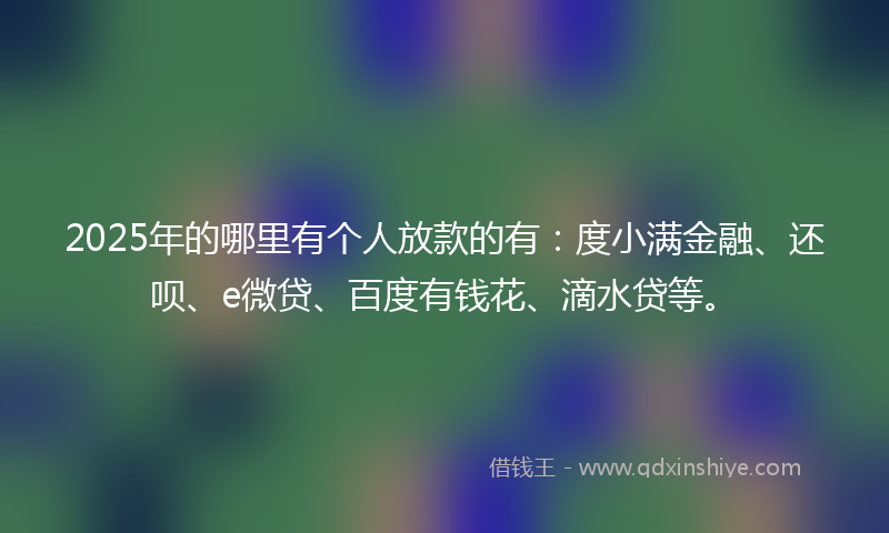 2025年的哪里有个人放款的有：度小满金融、还呗、e微贷、百度有钱花、滴水贷等。