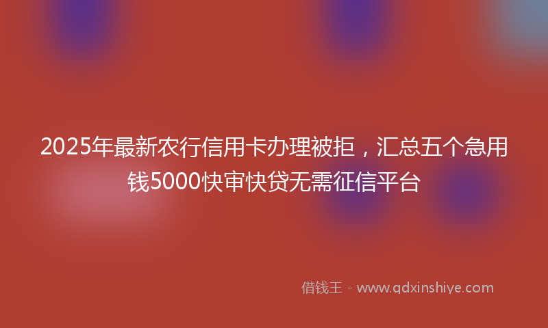 2025年最新农行信用卡办理被拒，汇总五个急用钱5000快审快贷无需征信平台