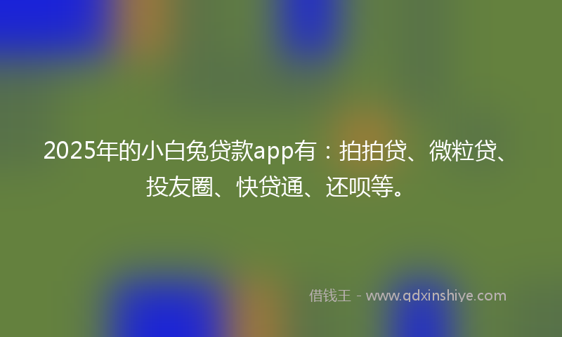 2025年的小白兔贷款app有：拍拍贷、微粒贷、投友圈、快贷通、还呗等。