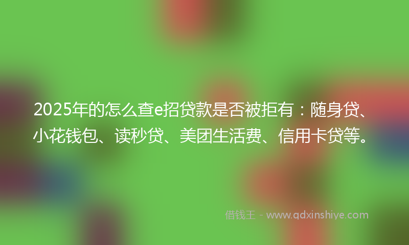 2025年的怎么查e招贷款是否被拒有：随身贷、小花钱包、读秒贷、美团生活费、信用卡贷等。