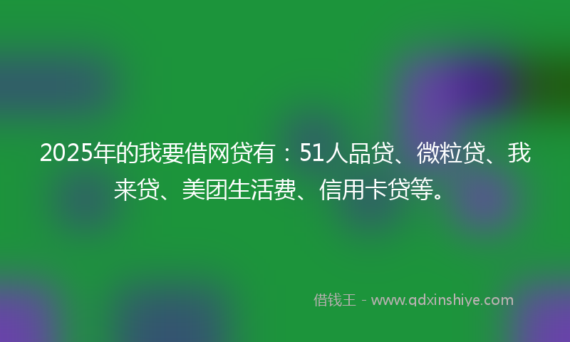 2025年的我要借网贷有：51人品贷、微粒贷、我来贷、美团生活费、信用卡贷等。