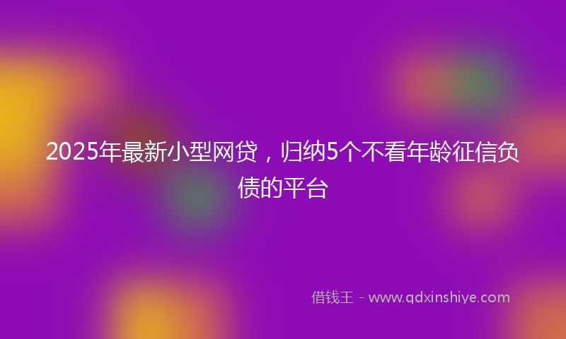 2025年最新小型网贷，归纳5个不看年龄征信负债的平台