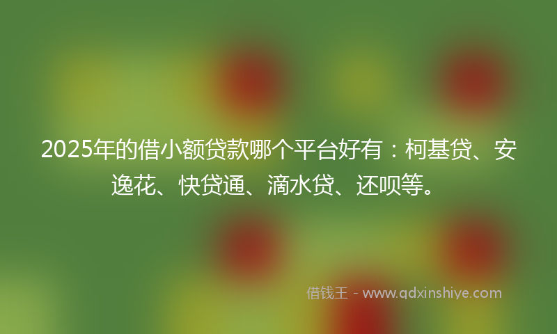 2025年的借小额贷款哪个平台好有：柯基贷、安逸花、快贷通、滴水贷、还呗等。