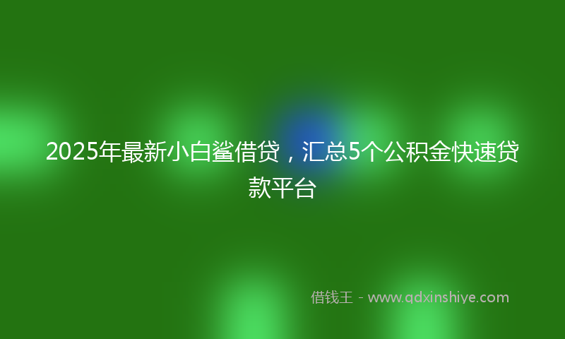 2025年最新小白鲨借贷，汇总5个公积金快速贷款平台
