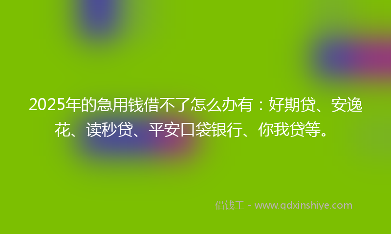 2025年的急用钱借不了怎么办有：好期贷、安逸花、读秒贷、平安口袋银行、你我贷等。