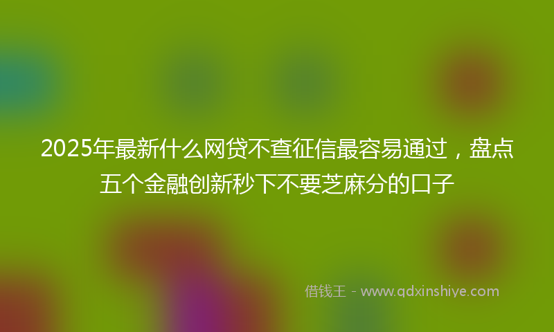 2025年最新什么网贷不查征信最容易通过，盘点五个金融创新秒下不要芝麻分的口子