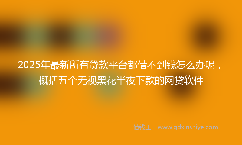 2025年最新所有贷款平台都借不到钱怎么办呢，概括五个无视黑花半夜下款的网贷软件
