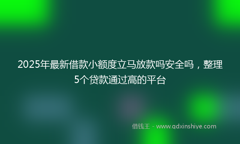 2025年最新借款小额度立马放款吗安全吗，整理5个贷款通过高的平台