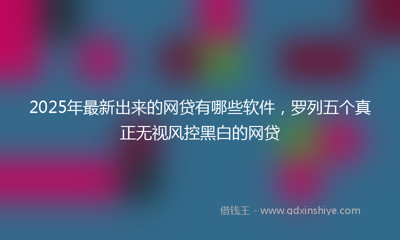 2025年最新出来的网贷有哪些软件，罗列五个真正无视风控黑白的网贷