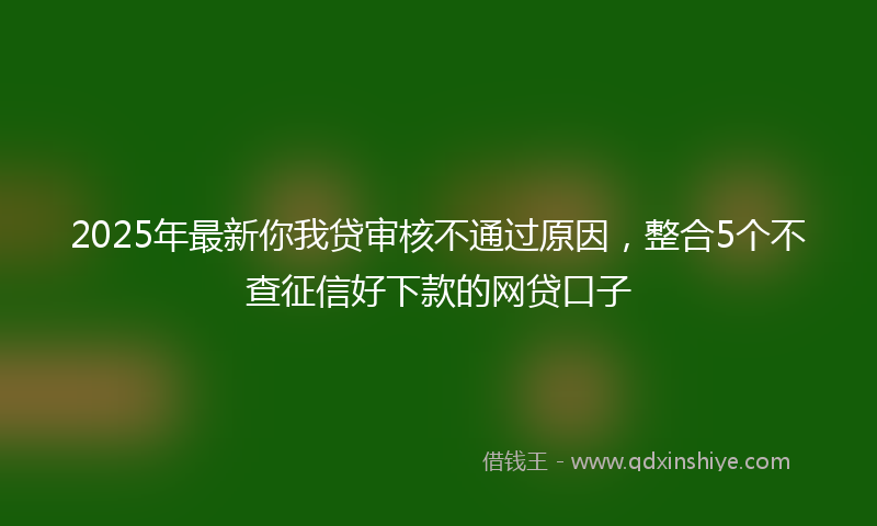 2025年最新你我贷审核不通过原因，整合5个不查征信好下款的网贷口子