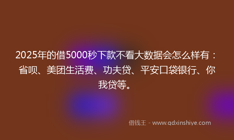 2025年的借5000秒下款不看大数据会怎么样有：省呗、美团生活费、功夫贷、平安口袋银行、你我贷等。