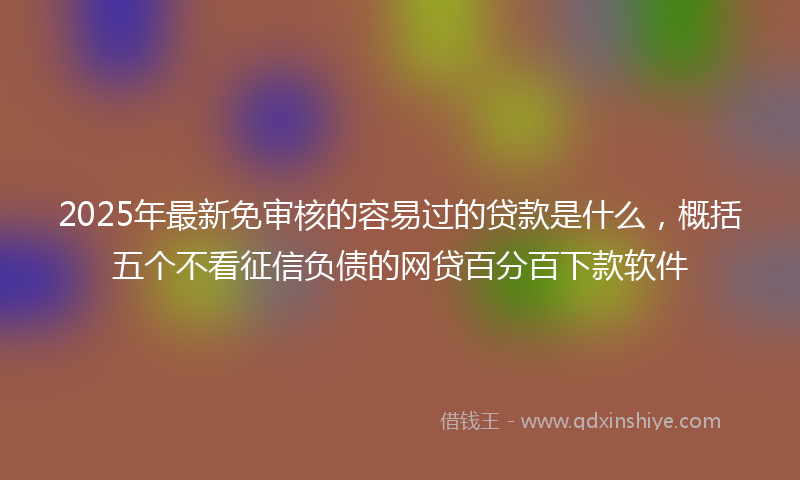 2025年最新免审核的容易过的贷款是什么，概括五个不看征信负债的网贷百分百下款软件