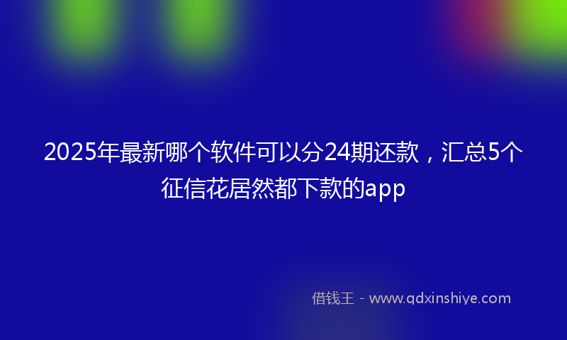 2025年最新哪个软件可以分24期还款，汇总5个征信花居然都下款的app