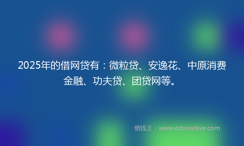 2025年的借网贷有：微粒贷、安逸花、中原消费金融、功夫贷、团贷网等。