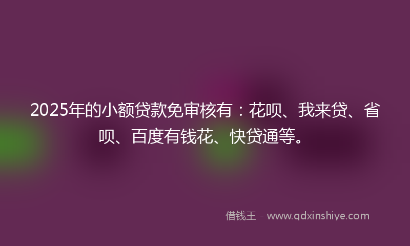 2025年的小额贷款免审核有：花呗、我来贷、省呗、百度有钱花、快贷通等。