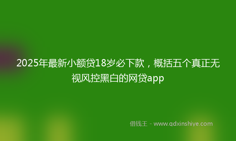 2025年最新小额贷18岁必下款，概括五个真正无视风控黑白的网贷app
