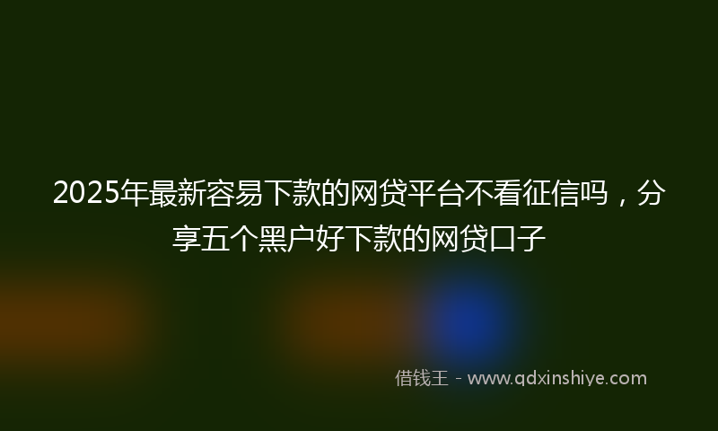 2025年最新容易下款的网贷平台不看征信吗，分享五个黑户好下款的网贷口子