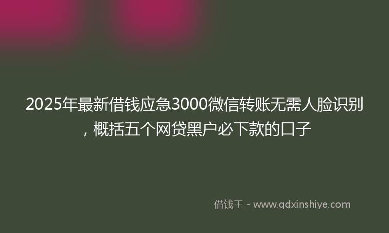 2025年最新借钱应急3000微信转账无需人脸识别，概括五个网贷黑户必下款的口子